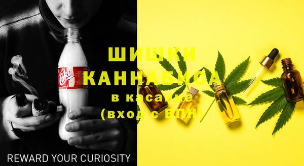 ECSTASY Алзамай