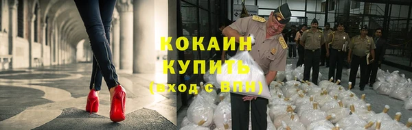мяу мяу мука Алексеевка