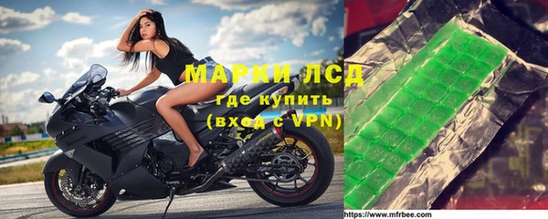 ECSTASY Алзамай