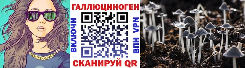Псилоцибиновые грибы мицелий  Ачхой-Мартан 